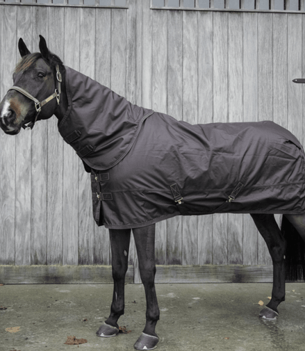 Kentucky Turnout All Weather Waterdicht Pro - Limited Edition Outdoordeken - Maddelin Equestrian Kentucky