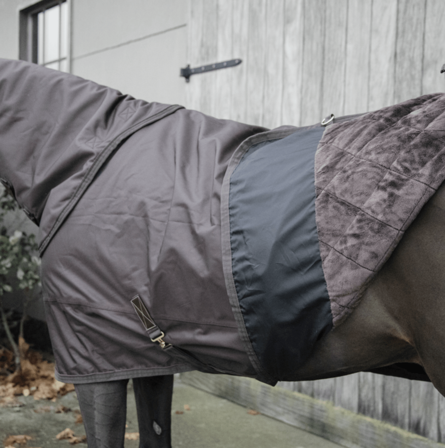 Kentucky Turnout All Weather Waterdicht Pro - Limited Edition Outdoordeken - Maddelin Equestrian Kentucky