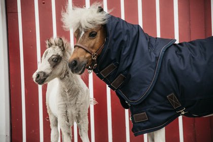 Kentucky Turnout Paardendeken All Weather Classic Tiny Outdoordeken - Maddelin Equestrian Kentucky