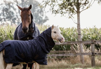 Kentucky Turnout Paardendeken All Weather Classic Tiny Outdoordeken - Maddelin Equestrian Kentucky