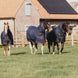Kentucky Turnout Paardendeken All Weather Quick Dry Fleece With Neck Outdoordeken - Maddelin Equestrian Kentucky