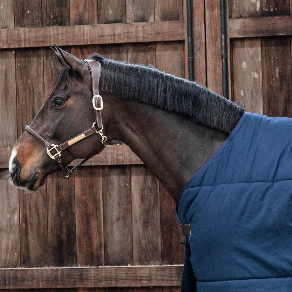 Kentucky Under Rug Classic 300g Staldeken - Maddelin Equestrian Kentucky