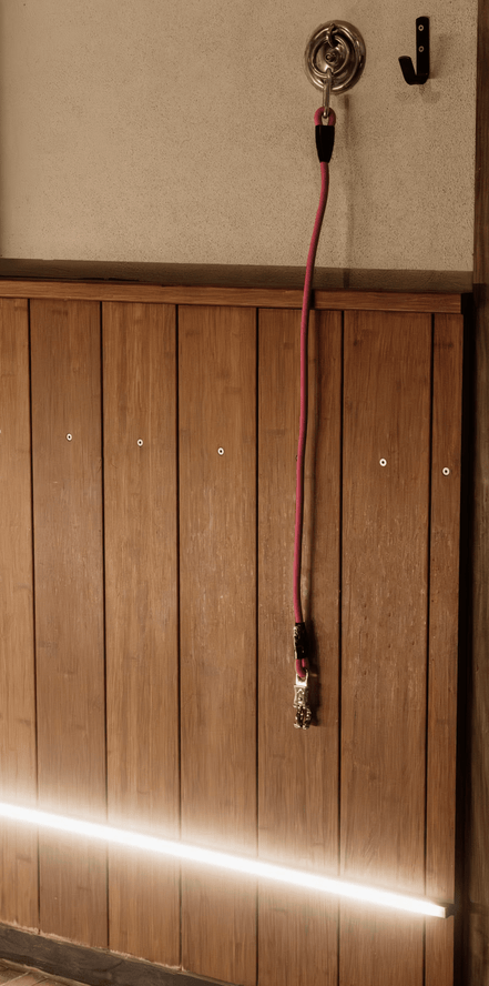 Kentucky Vastzetlijn Silicone 55cm Stalbenodigdheden - Maddelin Equestrian Kentucky