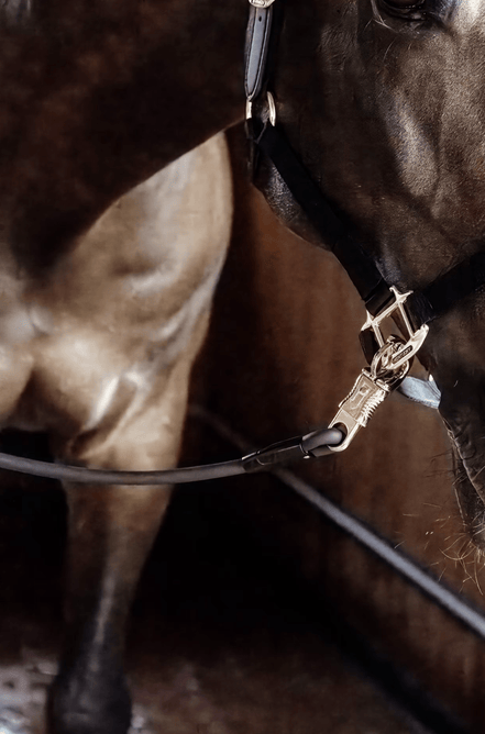 Kentucky Vastzetlijn Silicone 70cm Stalbenodigdheden - Maddelin Equestrian Kentucky