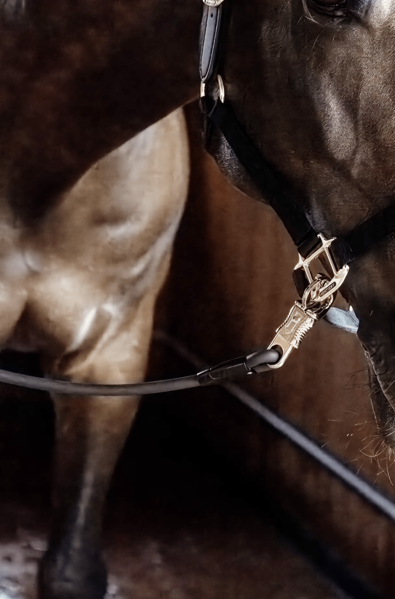 Kentucky Vastzetlijn Silicone 70cm Stalbenodigdheden - Maddelin Equestrian Kentucky