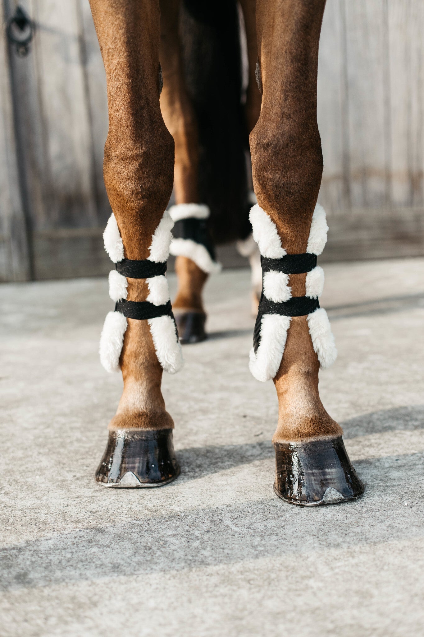 Kentucky Vegan Wol Peesbeschermers Bamboo Elastiek Peesbeschermers - Maddelin Equestrian Kentucky