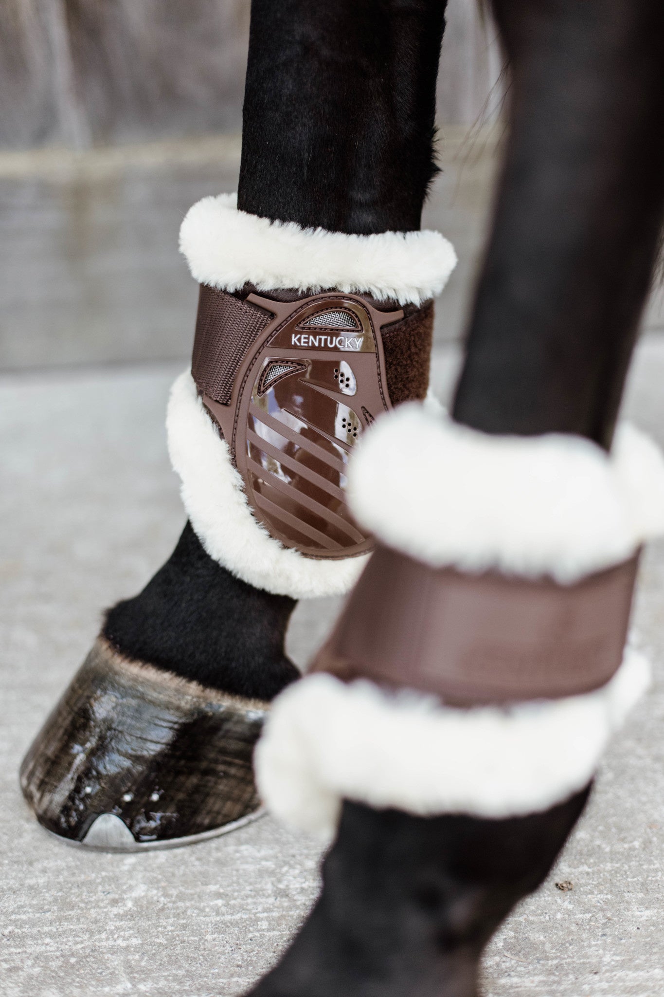 Kentucky Vegan Wol Strijklappen Kogelbeschermers - Maddelin Equestrian Kentucky