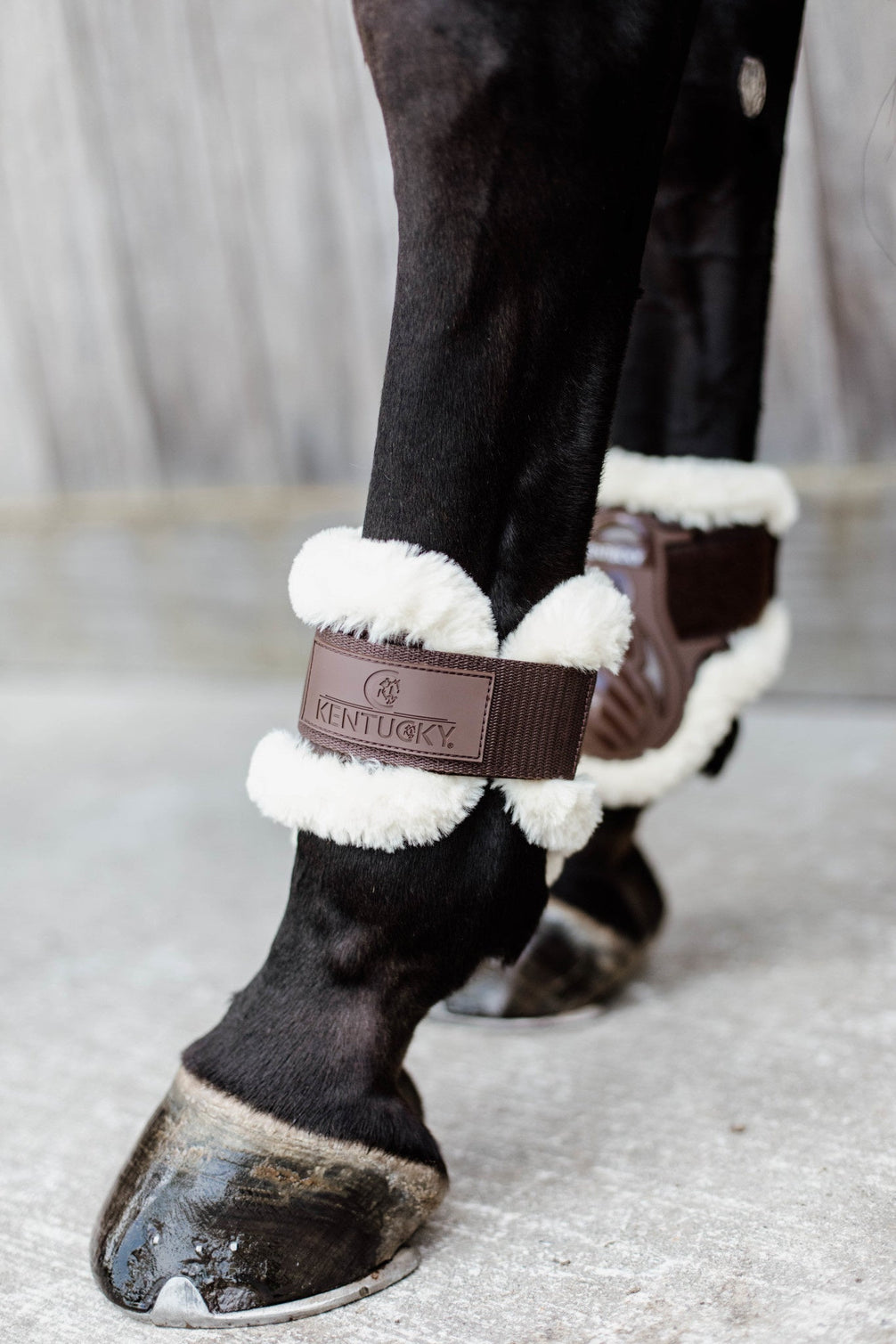 Kentucky Vegan Wol Strijklappen Kogelbeschermers - Maddelin Equestrian Kentucky