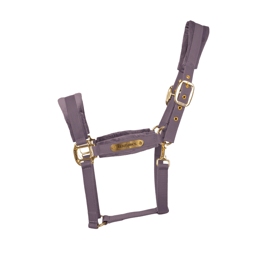 Kentucky Velvet Halster Nylon halsters - Maddelin Equestrian Kentucky