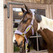 Kentucky Velvet Halster Nylon halsters - Maddelin Equestrian Kentucky