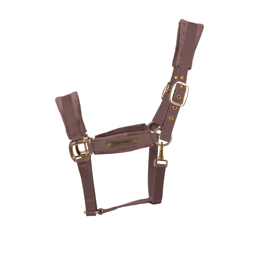 Kentucky Velvet Halster Nylon halsters - Maddelin Equestrian Kentucky