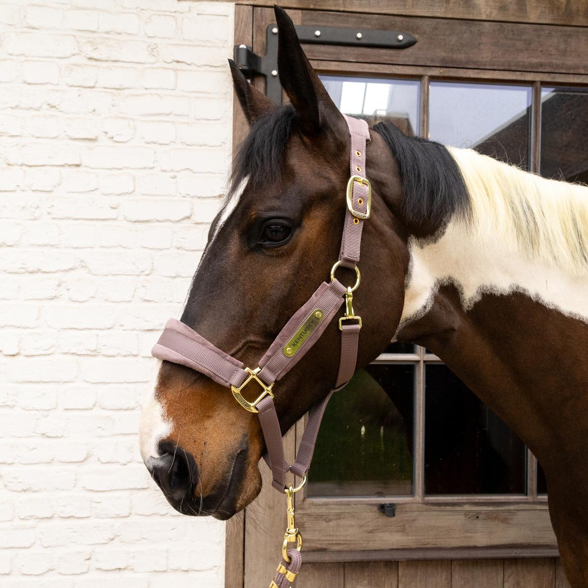 Kentucky Velvet Halster Nylon halsters - Maddelin Equestrian Kentucky