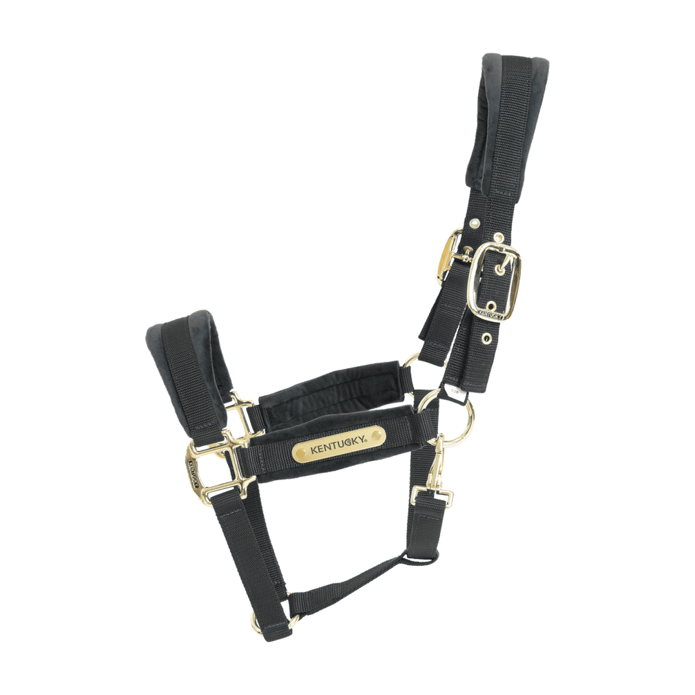 Kentucky Velvet Halster Nylon halsters - Maddelin Equestrian Kentucky