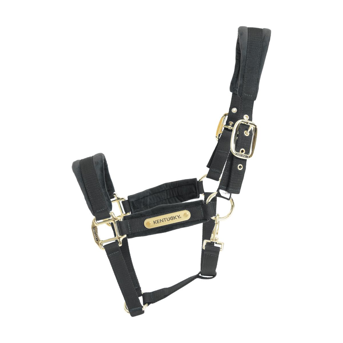 Kentucky Velvet Halster Nylon halsters - Maddelin Equestrian Kentucky