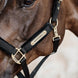 Kentucky Velvet Halster Nylon halsters - Maddelin Equestrian Kentucky