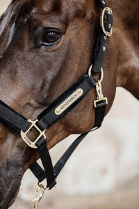 Kentucky Velvet Halster Nylon halsters - Maddelin Equestrian Kentucky