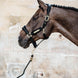 Kentucky Velvet Halster Nylon halsters - Maddelin Equestrian Kentucky