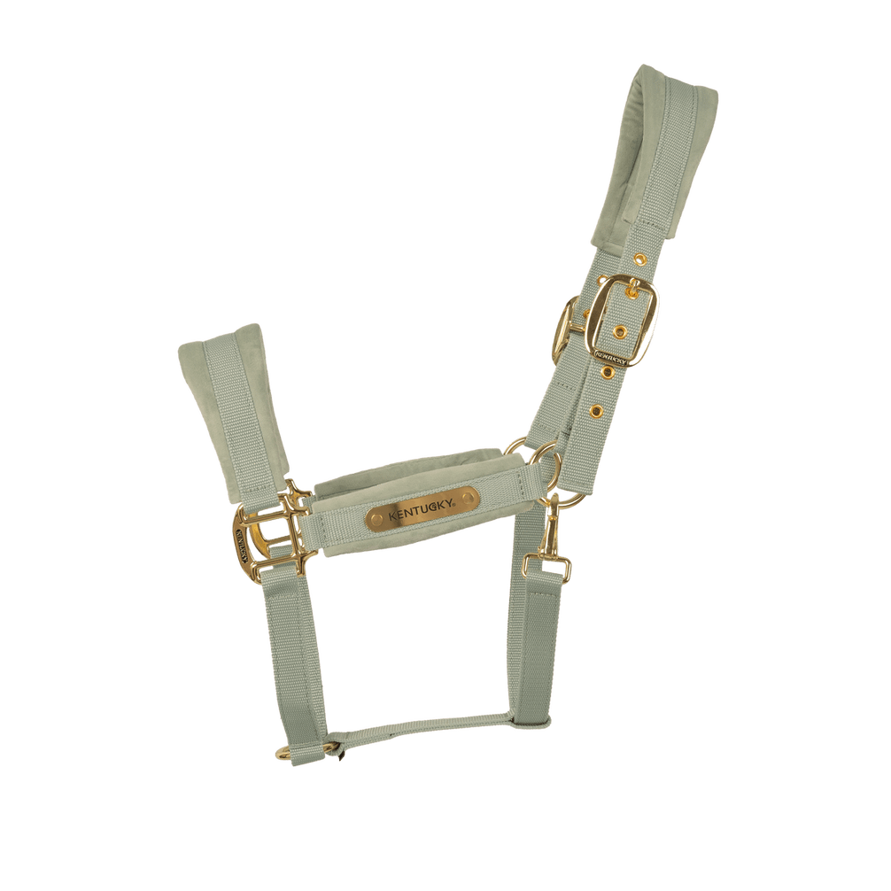 Kentucky Velvet Halster Nylon halsters - Maddelin Equestrian Kentucky