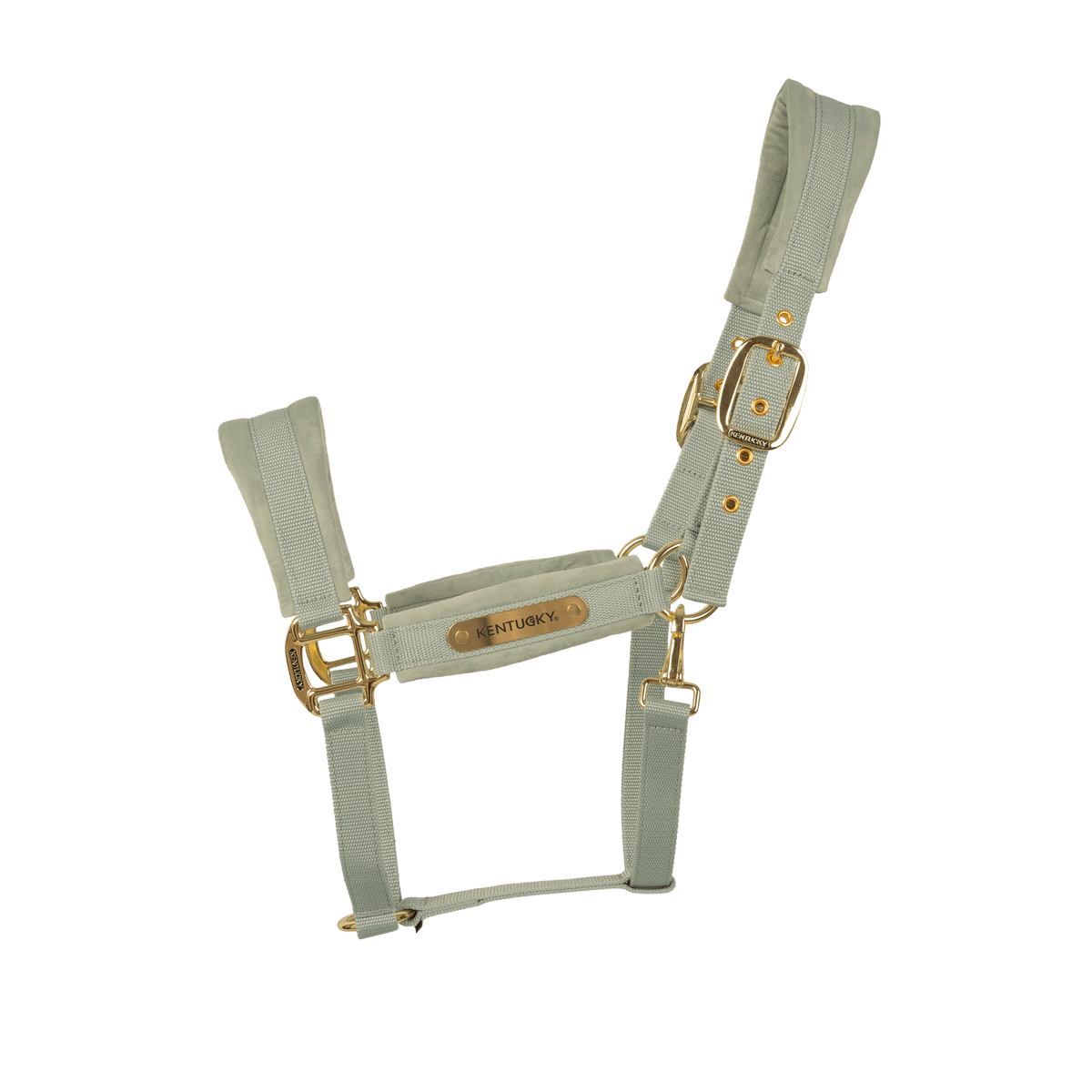 Kentucky Velvet Halster Nylon halsters - Maddelin Equestrian Kentucky