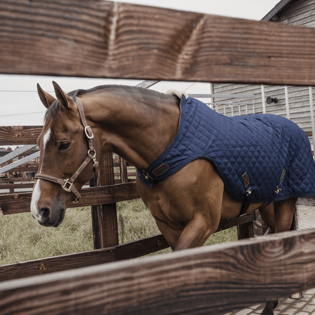 Kentucky Walker Paardendeken 160gr Stapmolen en uitrijdekens - Maddelin Equestrian Kentucky