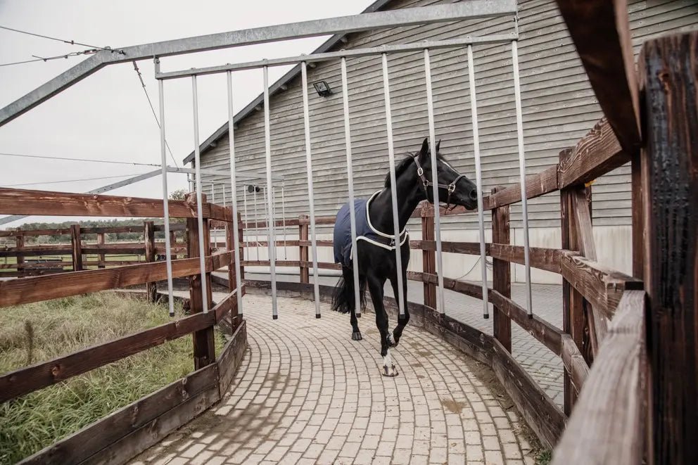 Kentucky Walker Paardendeken Waterdicht 160gr Stapmolen en uitrijdekens - Maddelin Equestrian Kentucky