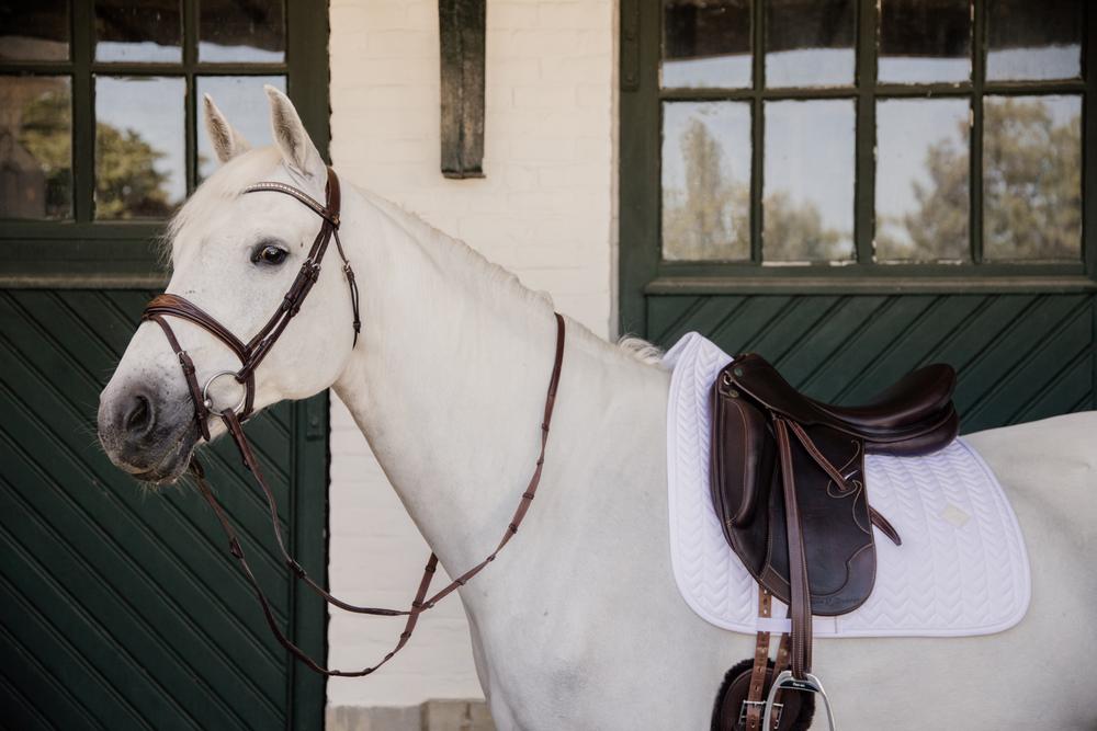 Kentucky Zadeldek Fishbone Zadeldoeken - Maddelin Equestrian Kentucky