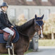 Kentucky Zadeldek Glitter Rope Zadeldoeken - Maddelin Equestrian Kentucky