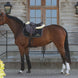 Kentucky Zadeldek Logo Zadeldoeken - Maddelin Equestrian Kentucky