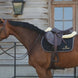 Kentucky Zadeldek Logo Zadeldoeken - Maddelin Equestrian Kentucky