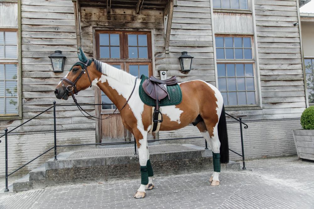 Kentucky Zadeldek Velvet Pearls Zadeldoeken - Maddelin Equestrian Kentucky
