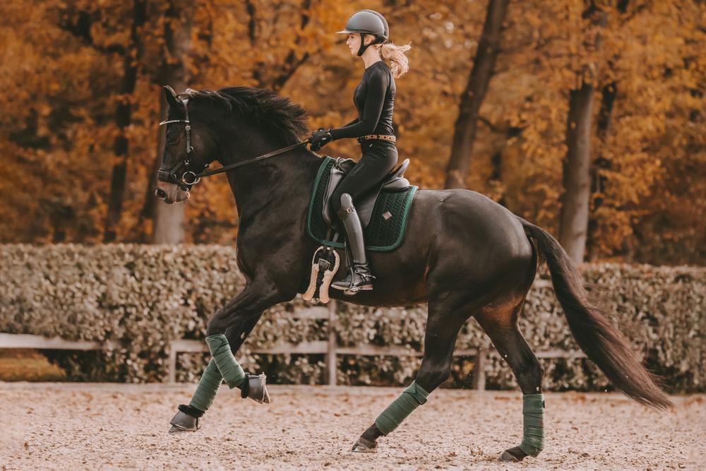 Kentucky Zadeldek Velvet Pearls Zadeldoeken - Maddelin Equestrian Kentucky
