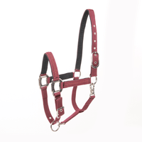 Lami - Cell Headcollar Galaxy Nylon halsters - Maddelin Equestrian Lami - Cell