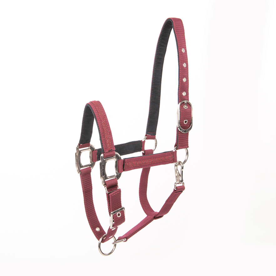 Lami - Cell Headcollar Galaxy Nylon halsters - Maddelin Equestrian Lami - Cell