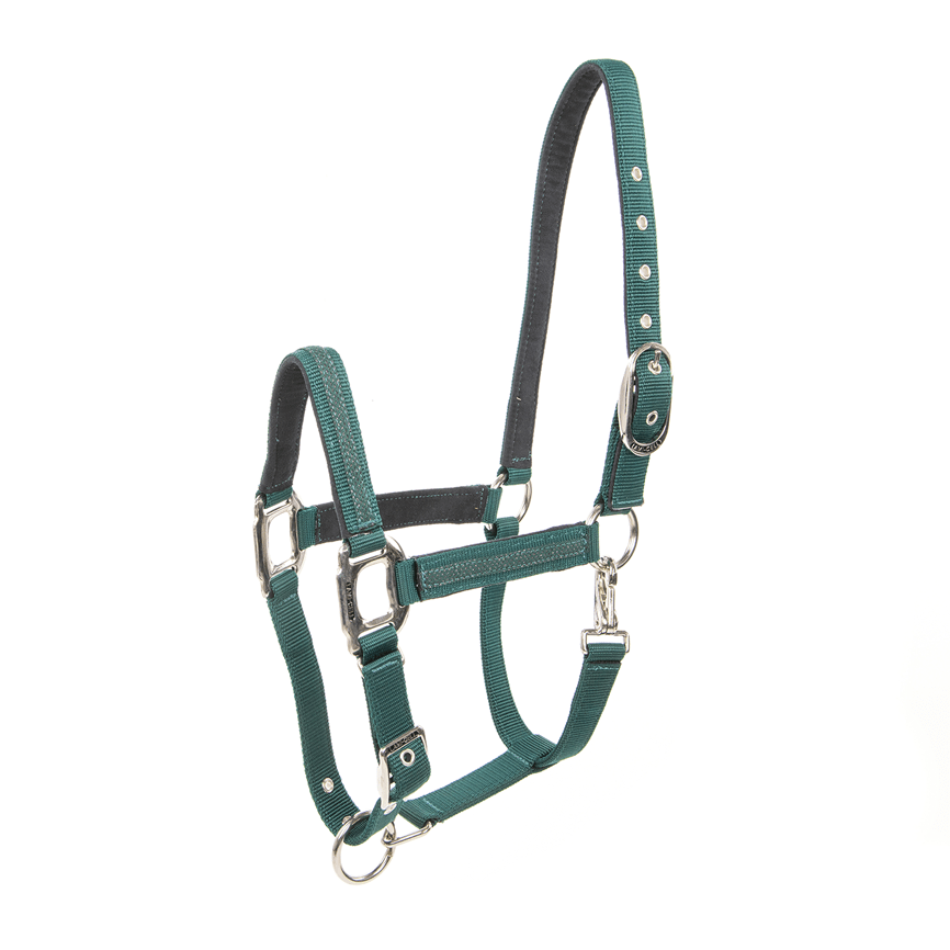 Lami - Cell Headcollar Galaxy Nylon halsters - Maddelin Equestrian Lami - Cell