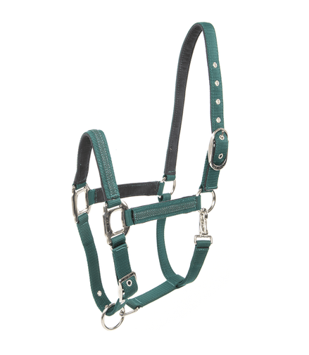 Lami - Cell Headcollar Galaxy Nylon halsters - Maddelin Equestrian Lami - Cell