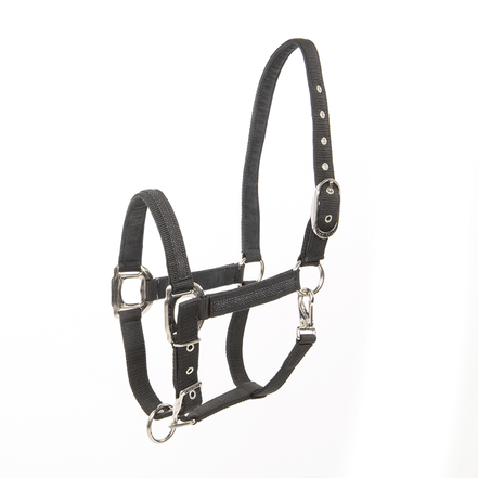 Lami - Cell Headcollar Galaxy Nylon halsters - Maddelin Equestrian Lami - Cell