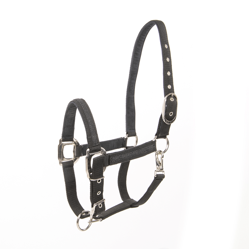 Lami - Cell Headcollar Galaxy Nylon halsters - Maddelin Equestrian Lami - Cell