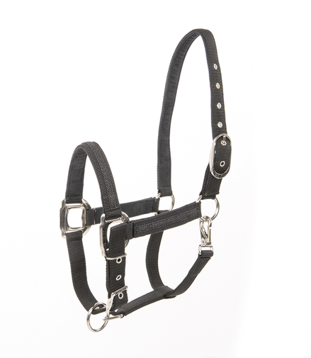 Lami - Cell Headcollar Galaxy Nylon halsters - Maddelin Equestrian Lami - Cell
