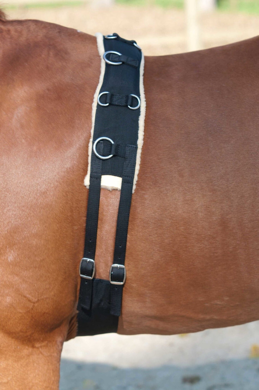 Lami - Cell Lunging girth Black Full Longeerbenodigdheden - Maddelin Equestrian Lami - Cell