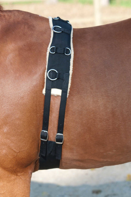Lami - Cell Lunging girth Black Full Longeerbenodigdheden - Maddelin Equestrian Lami - Cell