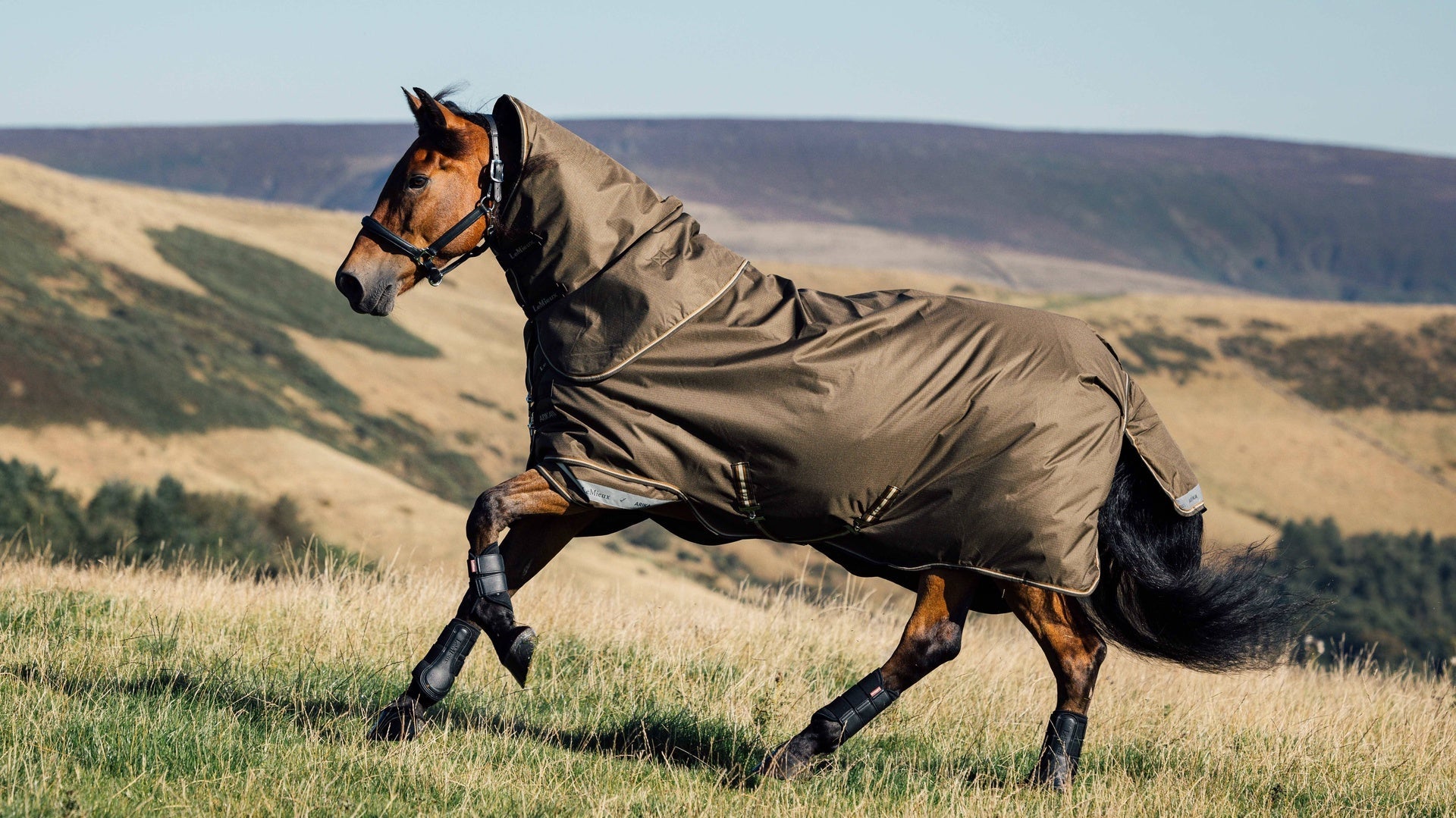 LeMieux Arika 600D Ripstop Outdoordeken Alpine Outdoordeken - Maddelin Equestrian LeMieux