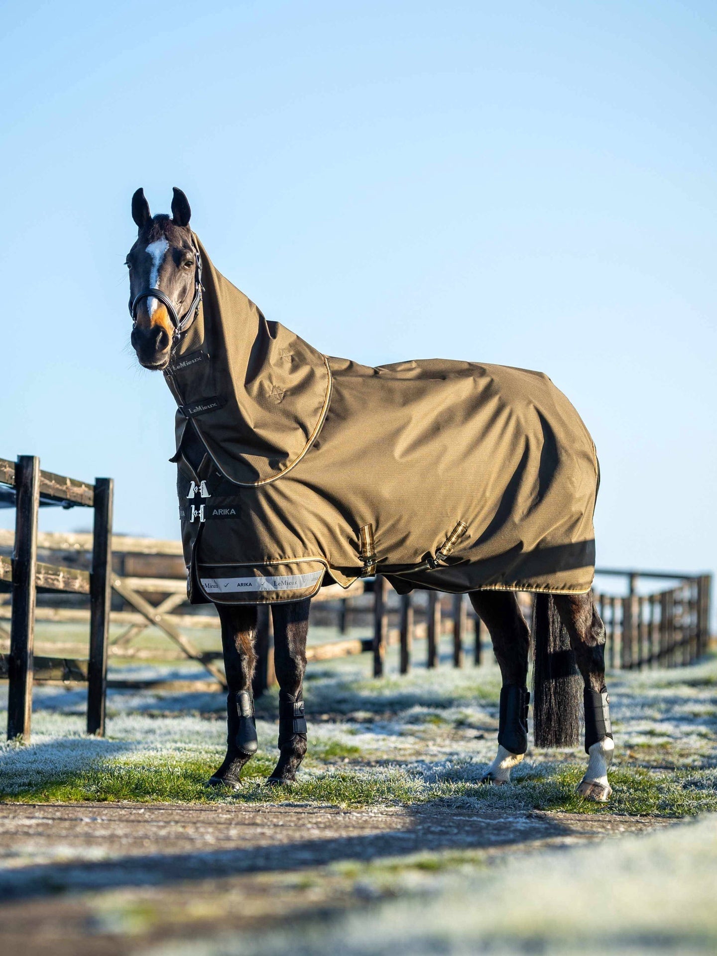 LeMieux Arika 600D Ripstop Outdoordeken Alpine Outdoordeken - Maddelin Equestrian LeMieux