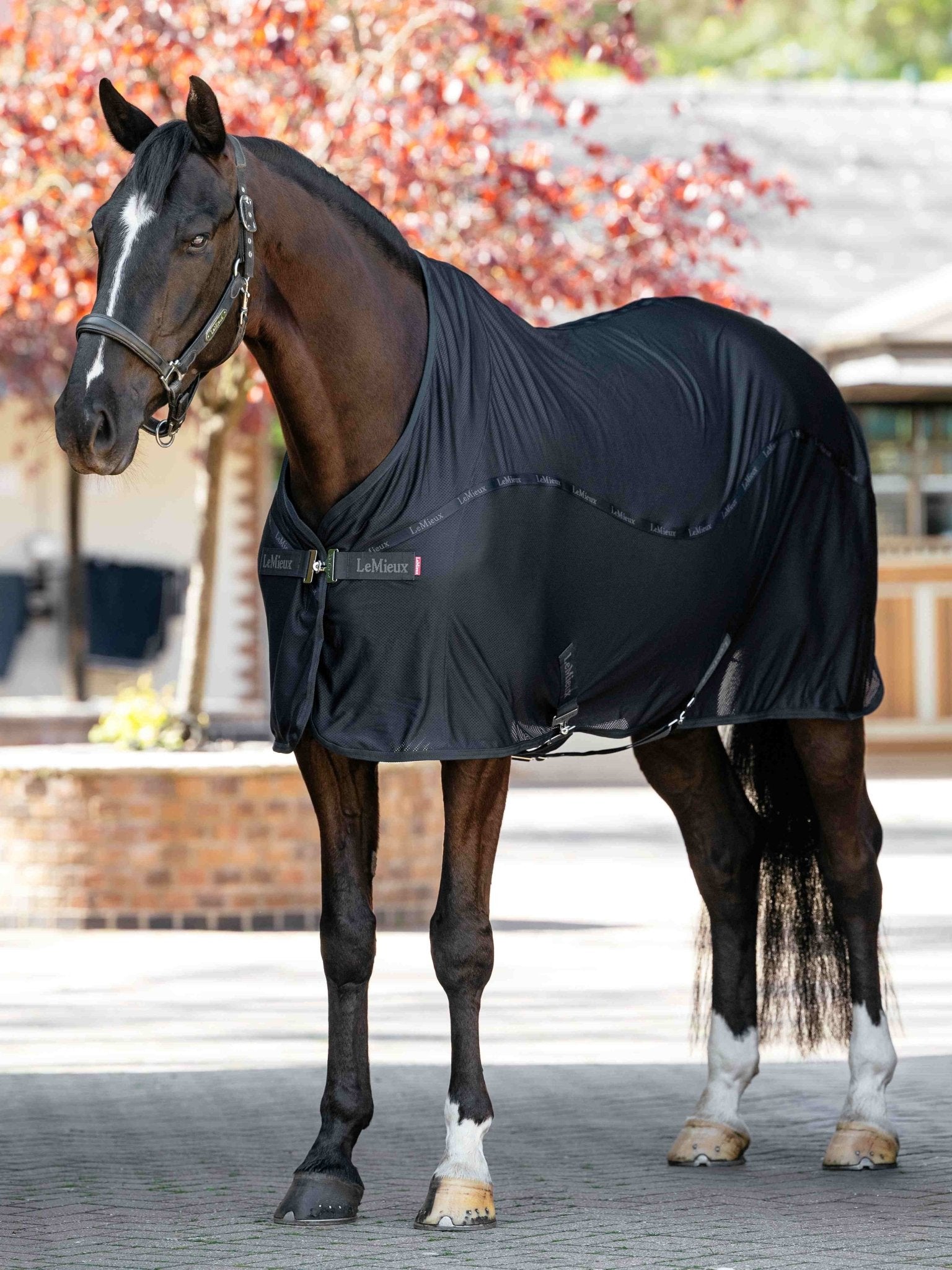LeMieux Arika Air-Tek Sheet Zweetdekens - Maddelin Equestrian LeMieux