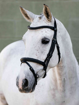 LeMieux Arika Anatomic Flash hoofdstel Trenshoofdstellen - Maddelin Equestrian