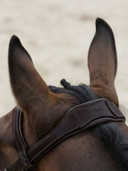LeMieux Arika Anatomic Flash hoofdstel Trenshoofdstellen - Maddelin Equestrian