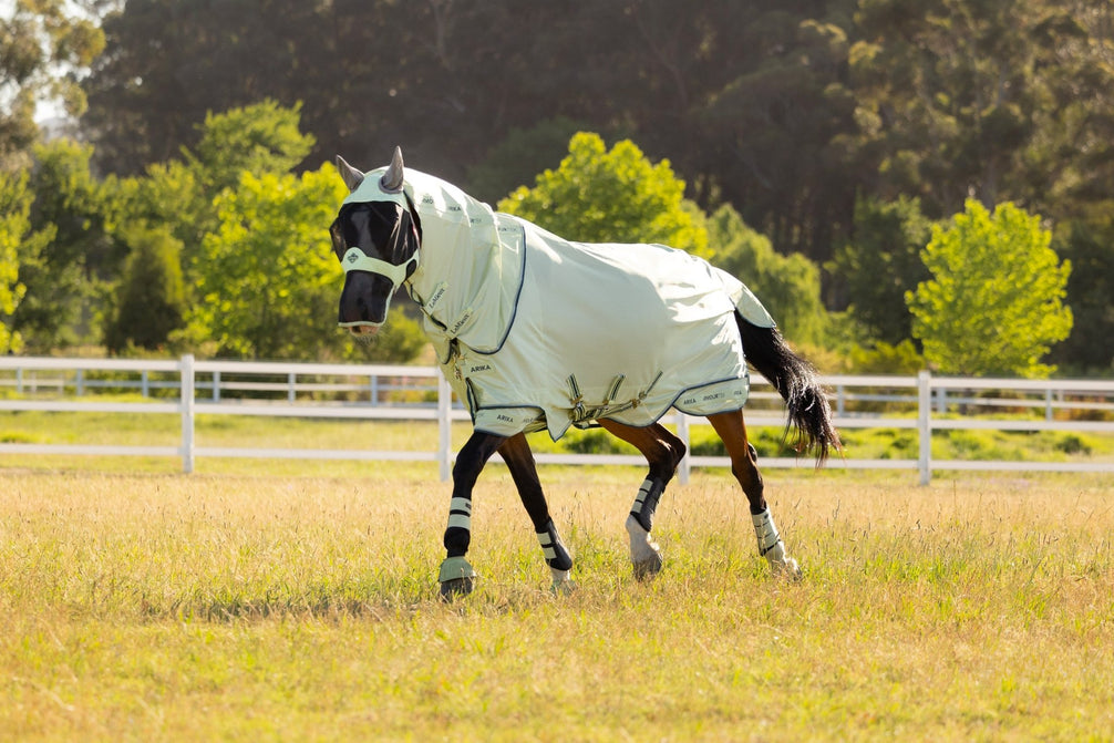 LeMieux Arika Armour - Tek Vliegendeken Vliegendekens - Maddelin Equestrian LeMieux