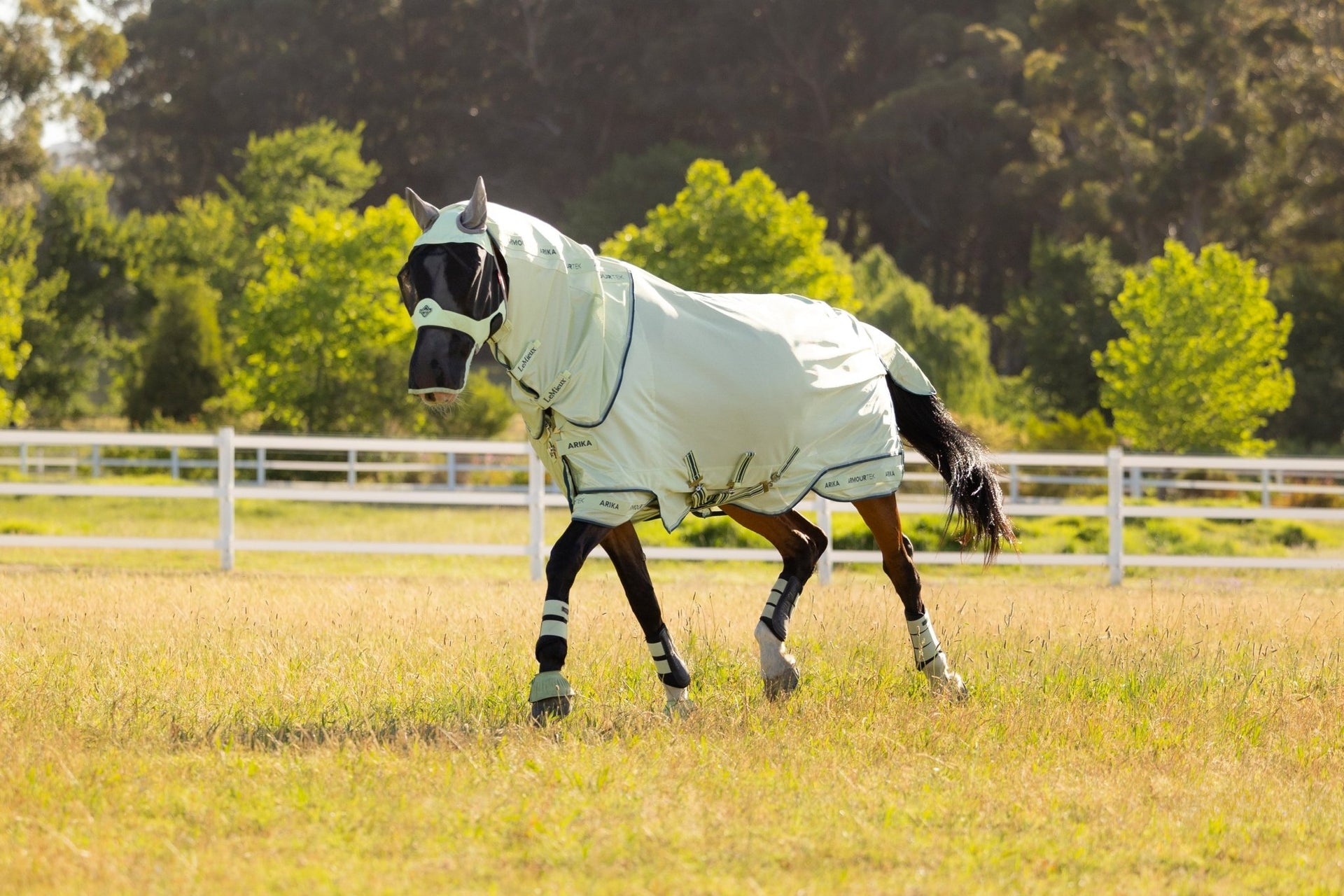 LeMieux Arika Armour - Tek Vliegendeken Vliegendekens - Maddelin Equestrian LeMieux
