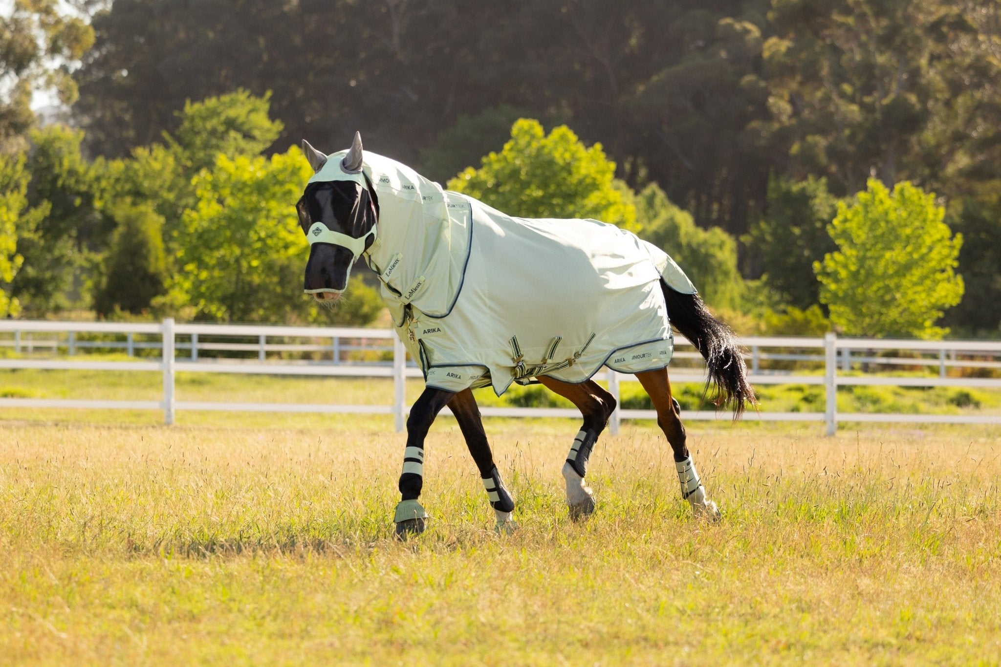 LeMieux Arika Armour - Tek Vliegendeken Vliegendekens - Maddelin Equestrian LeMieux