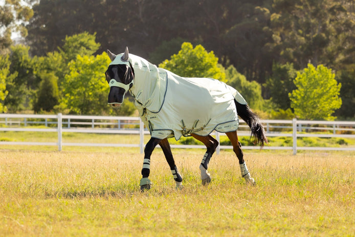 LeMieux Arika Armour - Tek Vliegendeken Vliegendekens - Maddelin Equestrian LeMieux