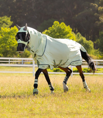 LeMieux Arika Armour - Tek Vliegendeken Vliegendekens - Maddelin Equestrian LeMieux